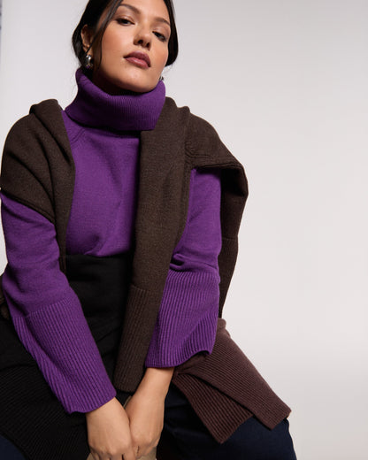 Better-Than-Wool Oversize Turtleneck Sweater